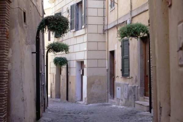 Sadzače-stojan pouličná výzdoba zelené rastliny bellitalia-STELO