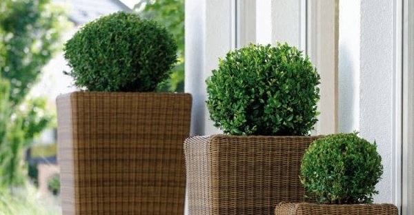 Pletené kvetináče do interiéru i exteriéru hviezda NELSON