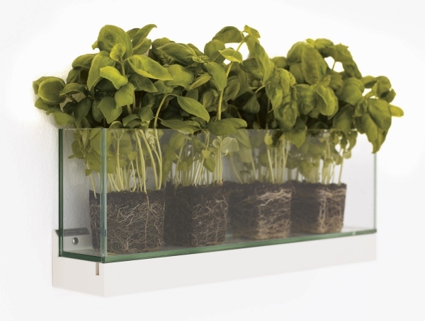 Kvetináč na nástenné sklo L-Pettersson- & amp; -L-Notman design