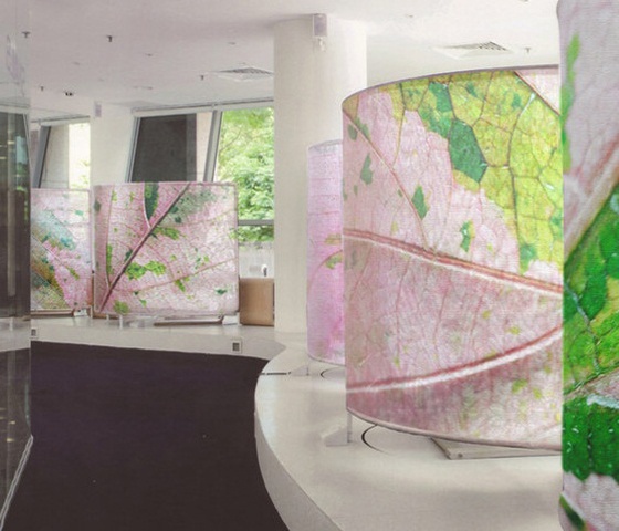 Obrazové kompozície grafické vzory Tela Design Obrazové kompozície grafický vzor Tela