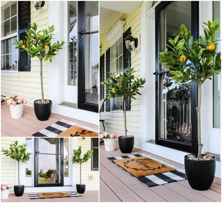 Umelý citrón vo vedre ako ozdoba vstupného priestoru vonku