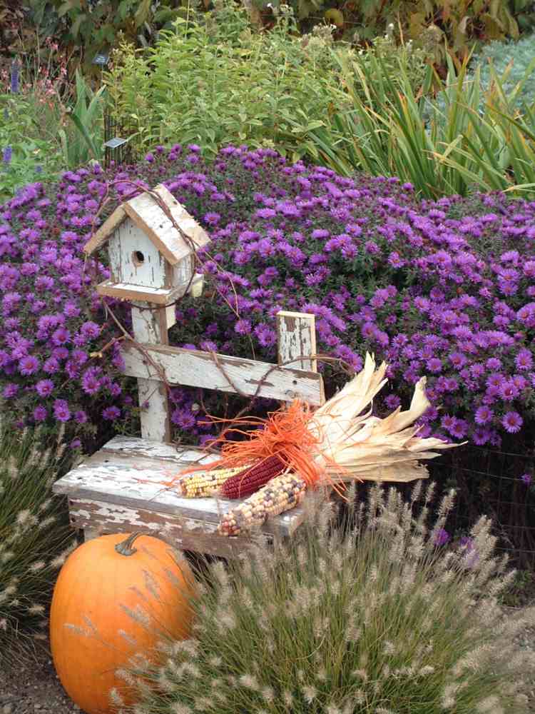 záhrada na jeseň dizajn-údržba-jednoduché-tipy-záhradkári