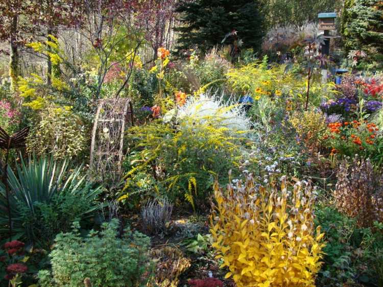 záhrada-jeseň-trvalky-divoké-výsadby-prírodný-štýl