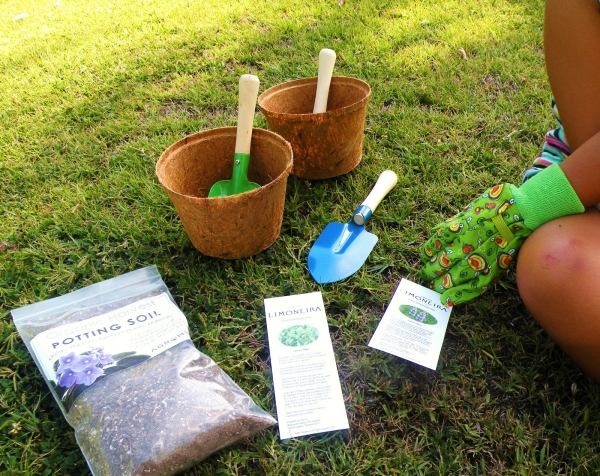 Rozložte plán záhrady s deťmi Plánovanie záhrady s deťmi Tipy