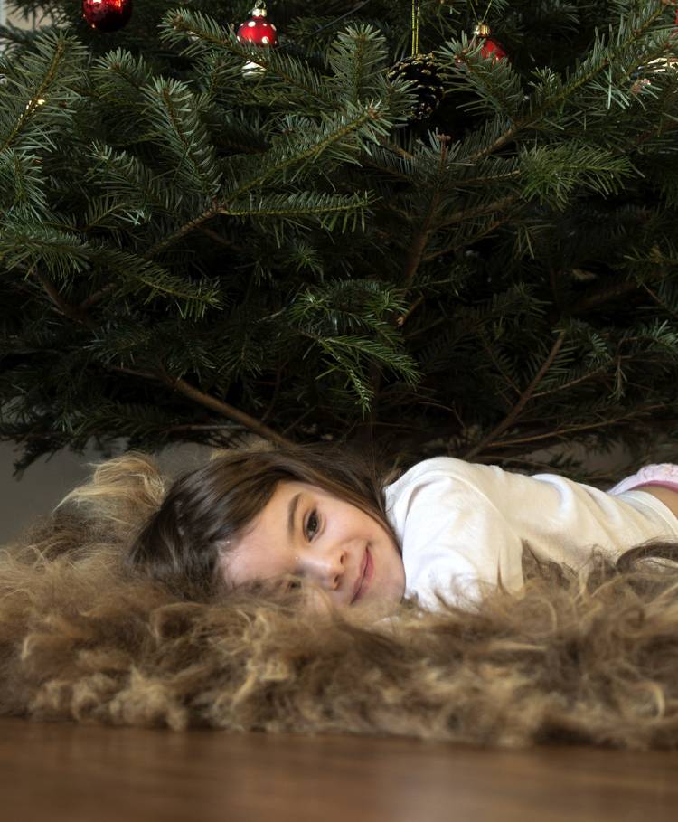 Vianočný stromček potrebuje dostatok vody, aby zostal dlhšie čerstvý