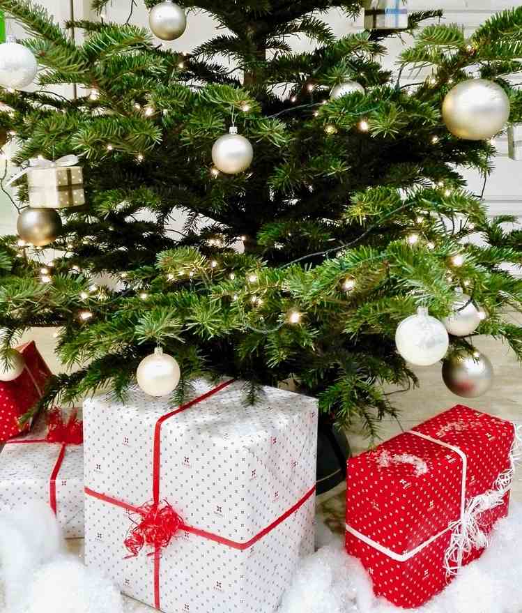 skutočný vianočný stromček s nádržou na vodu pekný a svieži a zelený