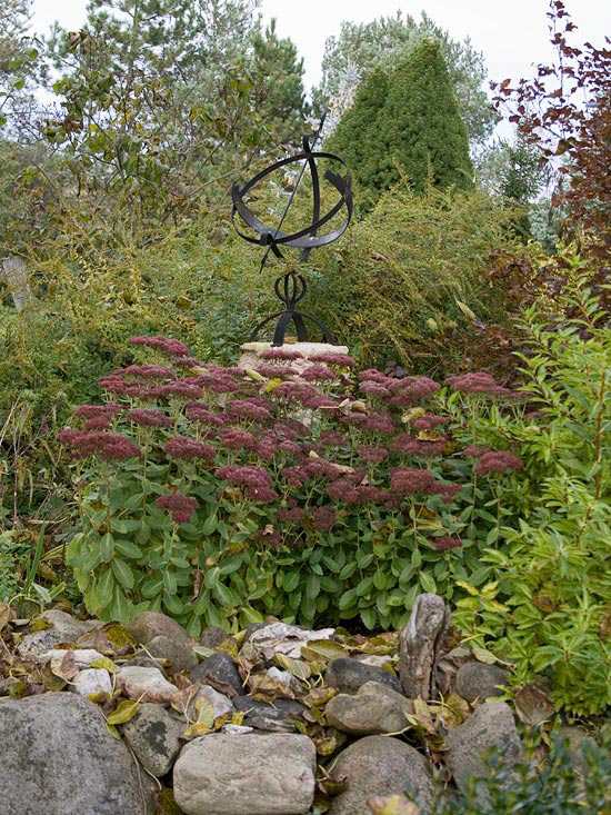 Záhradné jesenné kríky a pštrosy kombinujú nosník močového mechúra Záhrada v jesenných kríkoch a pštrosoch kombinuje nosník močového mechúra