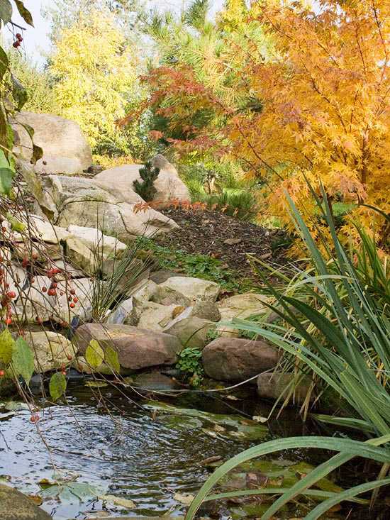 Jesenné záhradné záhradné jazierkové rastliny jesenných farieb Záhrada na jeseň záhradné jazierko rastliny jesenné farby