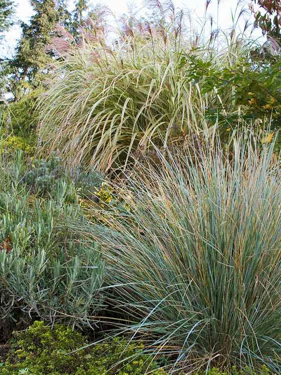 Záhradné jesenné prvky opakujú nápady Záhradné jesenné prvky opakujú nápady