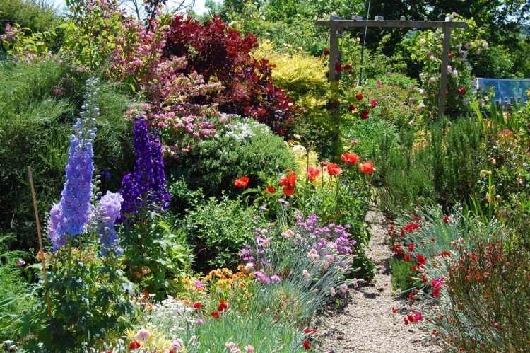 Plánujete záhradu vo vidieckom štýle - aké rastliny tam sú? záhradný-vidiecky štýl-plánovanie-ktoré-kvety-rastlina