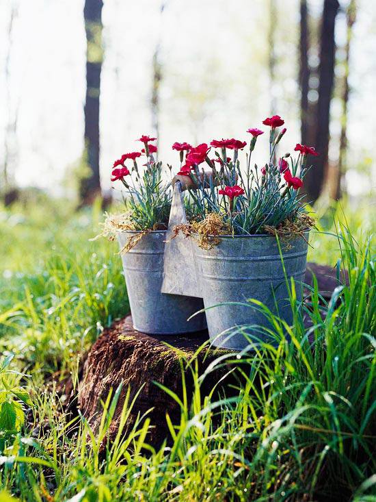 nápady záhradný dizajn záhradný kvetináč dvojbalenie nápady záhradný dizajn záhrada v kvetináči dvojbalenie