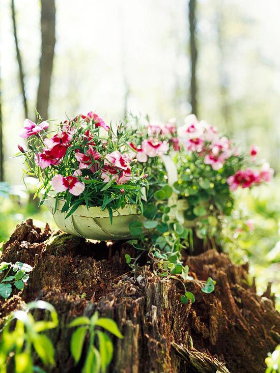 nápady záhradný dizajn záhradný kvetináč ružová červená nápady záhradný dizajn záhrada v kvetináči ružová červená