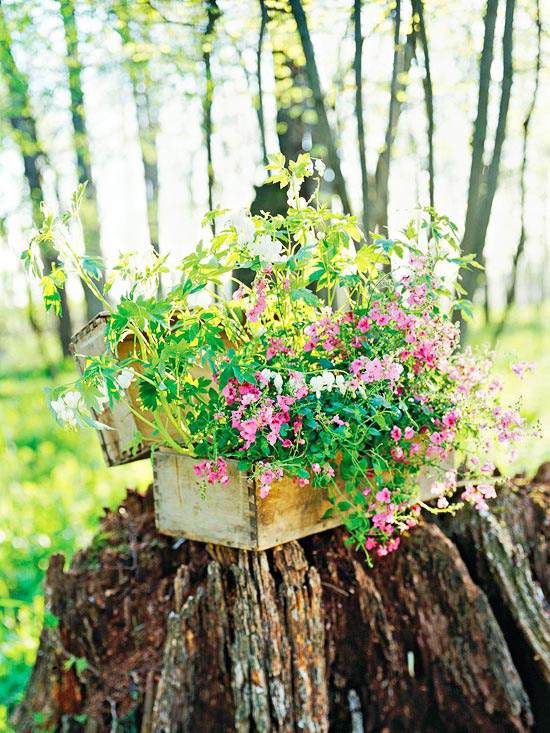 nápady na záhradný dizajn box na náradie na sadenie záhrad nápady na záhradný dizajn záhrada v boxe na nástroje