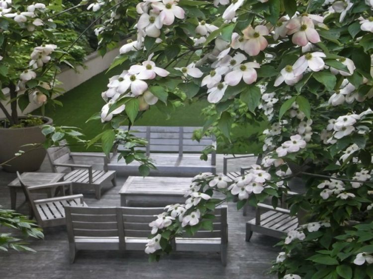 drieň-záhrada-terasa-drevo-záhradný nábytok-lavica-konferenčný stolík