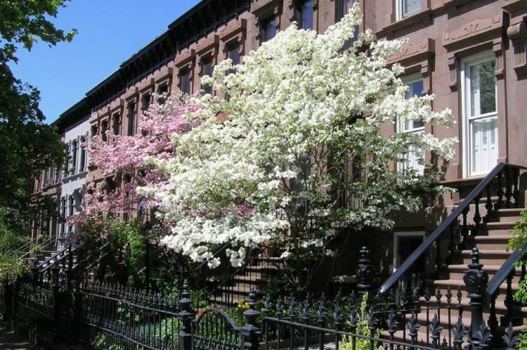 dogwood-garden-front-yard-idea-kov-plot-mesto-inšpirácia