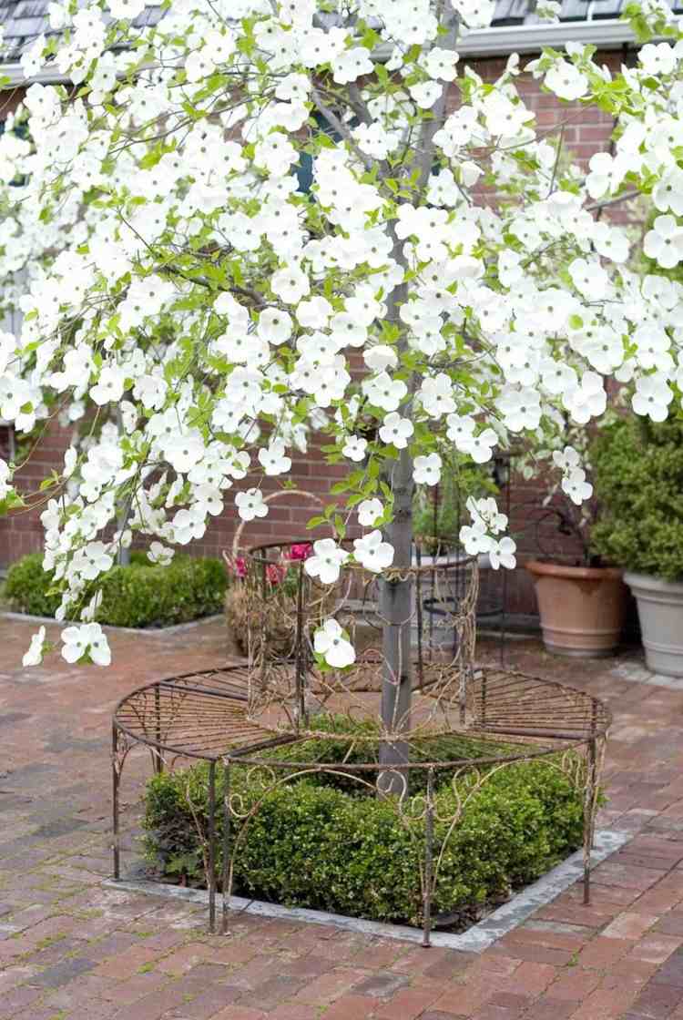 drieň-záhradná lavička-kovový živý plot-zimostráz-vždyzelený-terasa-akcent