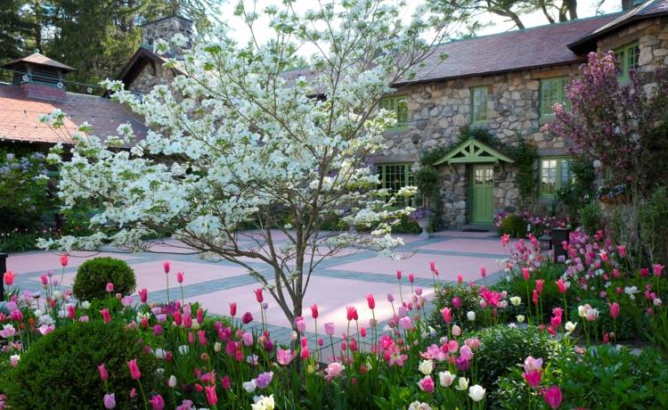 drieň-záhrada-farebné-kvety-živý plot-tulipány-ružovo-bielo-ružovo-romantický