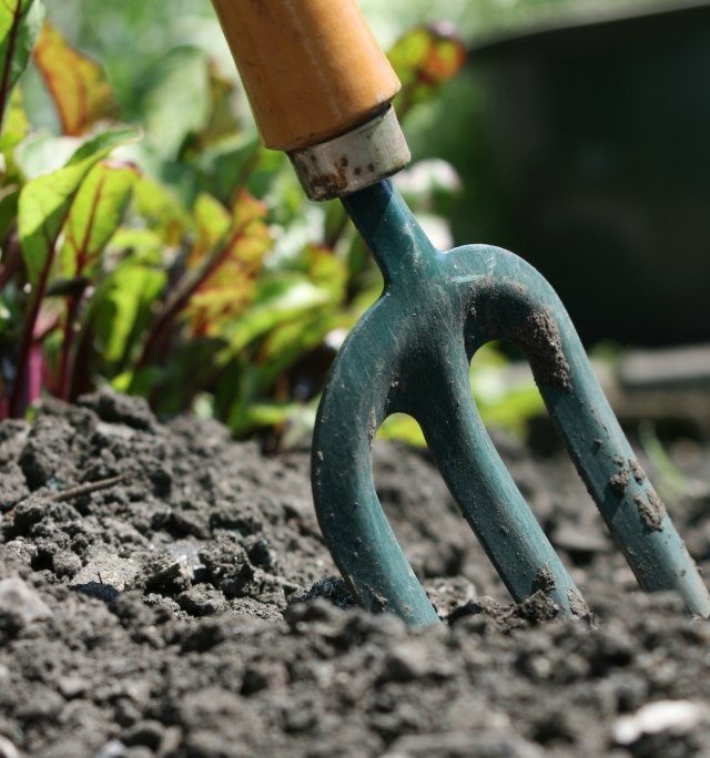 Na dosiahnutie lepšej úrody sa riaďte záhradníckymi radami