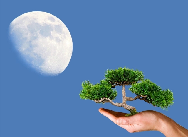 Lunárny kalendár na výsadbu záhradných mesiacov