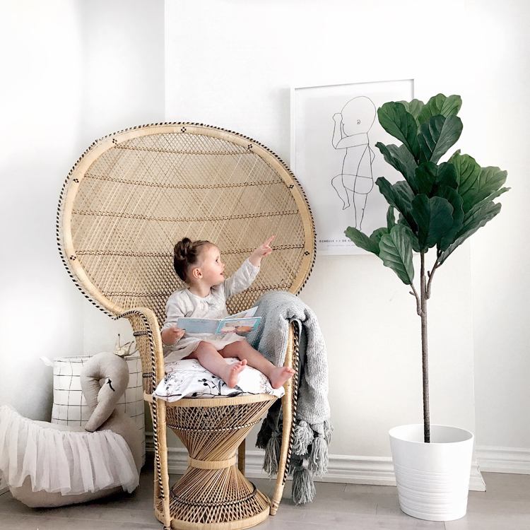 Peacock kreslo ratan detská izba husle figovník biely kvetináč