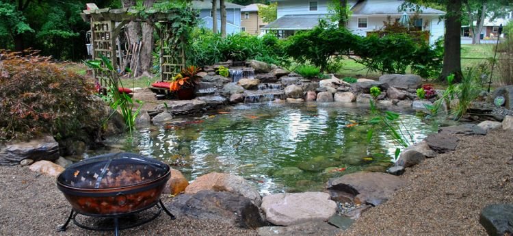 jazierko-záhradná-starostlivosť-prírodný-rybník-ryba-kamene-pergola-šplhavý úponok