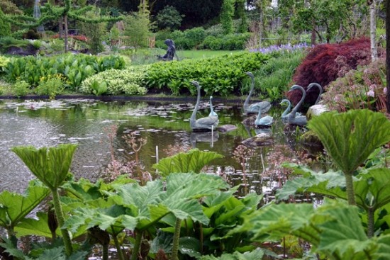 rybník v záhrade tipy a triky pre vtáky deco