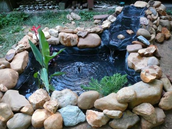 dekoratívne tipy a triky pre starostlivosť o rybníkovú záhradu