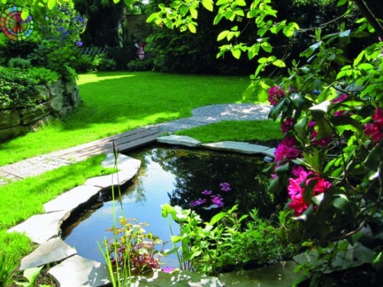 tipy a triky na starostlivosť o záhradu v jazierku na dvore