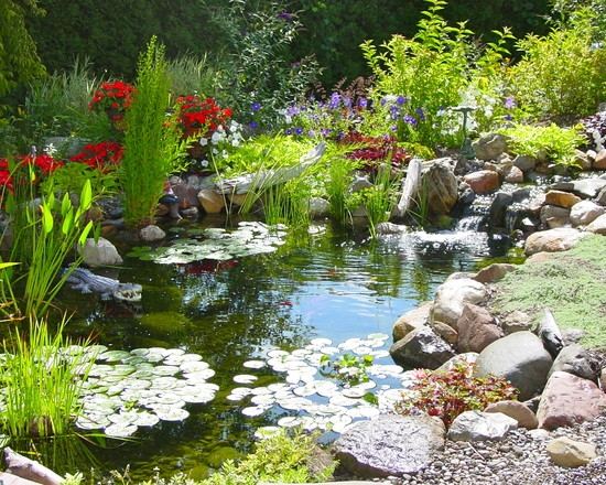 rybník v záhrade tipy a triky pre krajinu