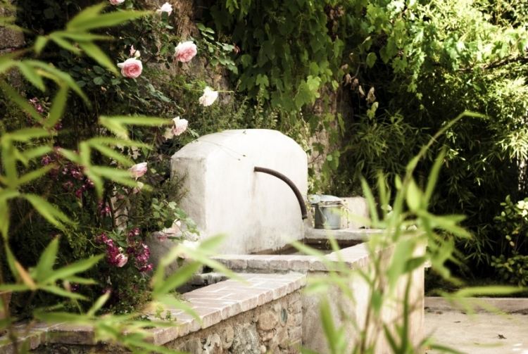 malé studničky a vedľa rozkvitnutý krík ruže fontána-ruža-krík-zelená-kamenná stena