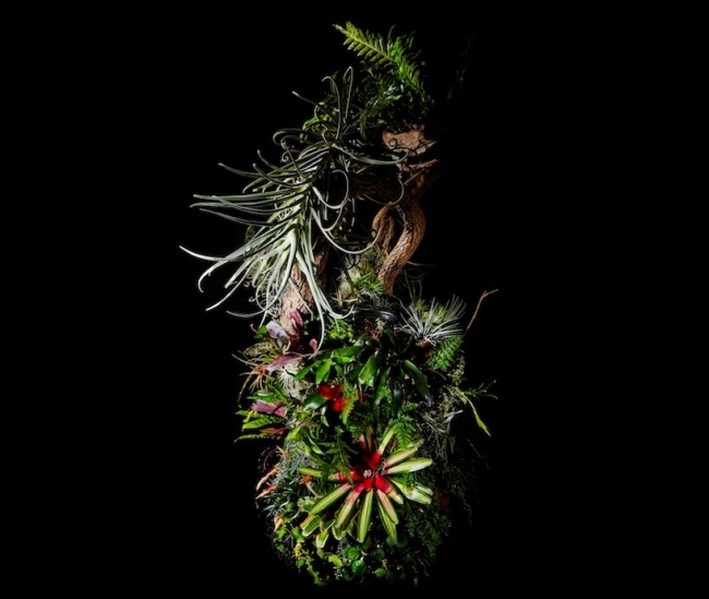 Stojan popolníka botanické prvky design-azuma makoto Stojan popolníka botanické prvky dizajn azuma makoto kvetinový umelec Japonsko