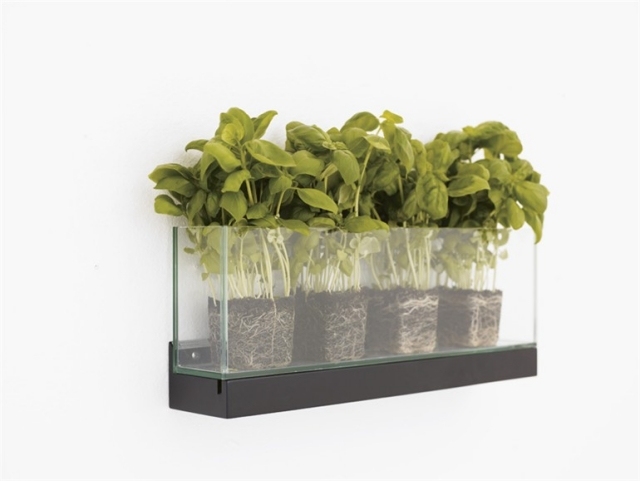 sklenená kvetinová krabica stena montáž rastliny korene viditeľné rastliny na montáž na prednú stenu skleneného kvetináča
