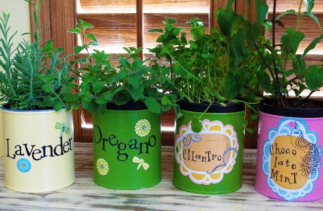 Designové konzervované bylinky používajú zaujímavé originálne čerstvé