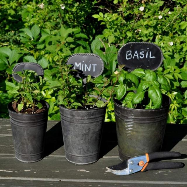 Návrh v záhrade malé vedierka nápady dekorácia