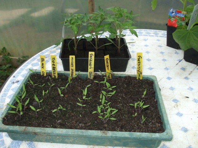 Praktické nápady pri navrhovaní sú ekonomické