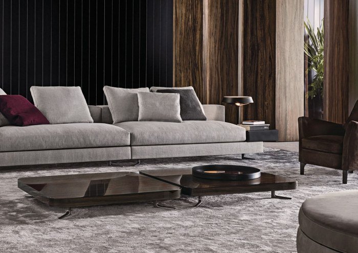 moderné-konferenčné stolíky-lak na drevo-obdĺžnikový-ANDRE rodolfo-dordoni