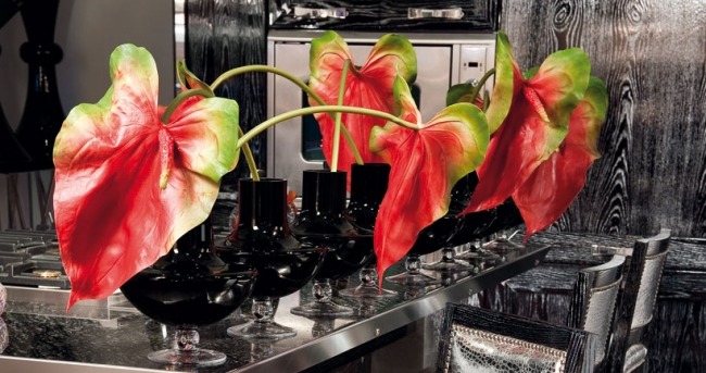 Kuchyňa nerezová ostrovčeková dekorácia-izbové rastliny laminátové drevo Kuchyňa nerezová ostrovčeková dekorácia-izbové rastliny laminátové drevo dub