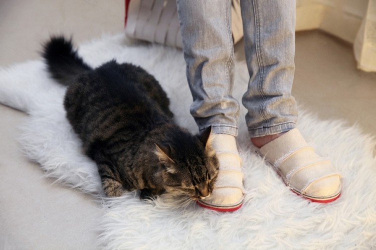 dizajnér-doplnky-koža-papuča-kat