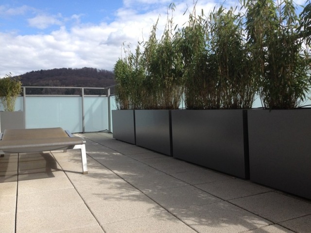 balkón súkromná clona bambusové rastliny zábradlie dlažba podlaha