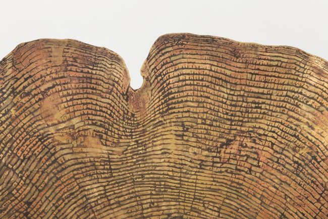 Dizajnový nábytok z kovového dreva vyzerá ako stránky Sharon