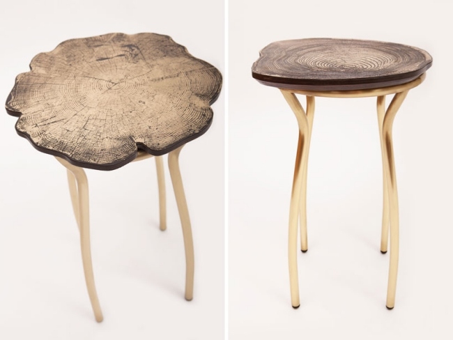 Dizajnová zbierka kmeňov stromov kmeňa Sharon