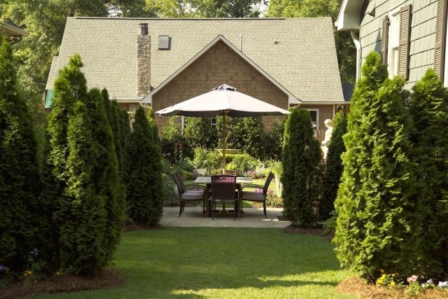 živé ploty thuja živé ploty rastliny na ochranu rastlín záhradný nábytok