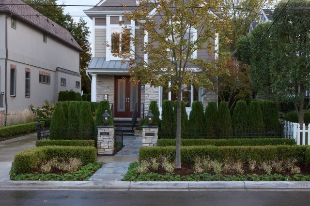 Živé ploty ako živé ploty rastlín živého plotu obsahujú nízke živé ploty