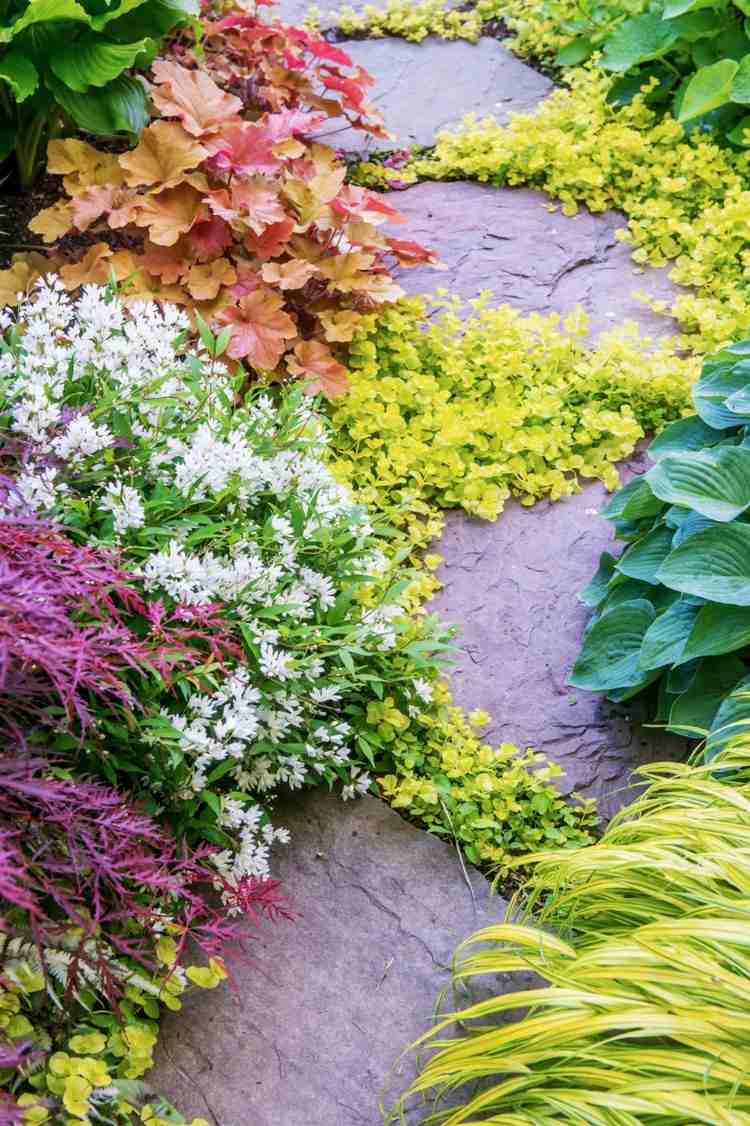 Pôdny kryt medzi spoločnými kamennými doskami Pfennigkraut