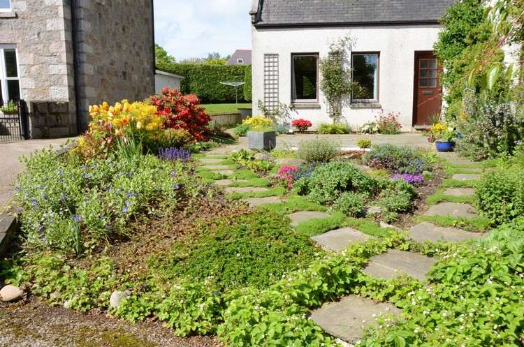 Rastliny varianty pôdneho krytu odrody pre záhradnú cestu