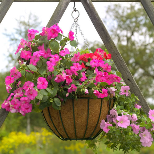 zaujímavé nápady na zavesenie košov v záhrade ružových kvetov