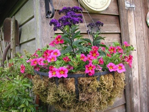 zaujímavé nápady na zavesenie košov v machovej záhrade