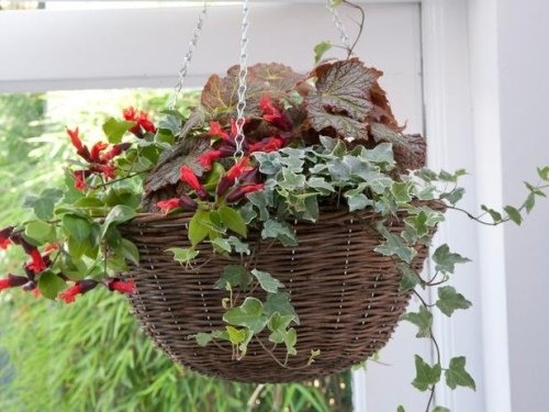 zaujímavé nápady na zavesenie košov na záhradný ratan