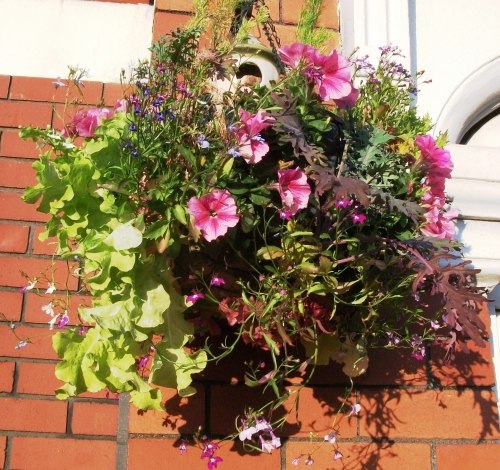 zaujímavé nápady na zavesenie košov záhradná zmes