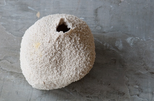 malý otvor vhodný pre kvety biely materiál